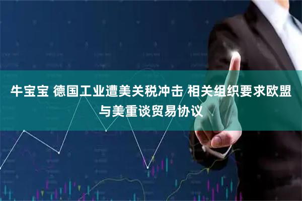 牛宝宝 德国工业遭美关税冲击 相关组织要求欧盟与美重谈贸易协议